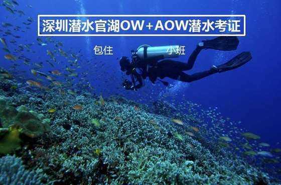 怎么流鼻血？